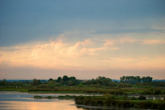 chauffeur taxi transfert vers port et plages